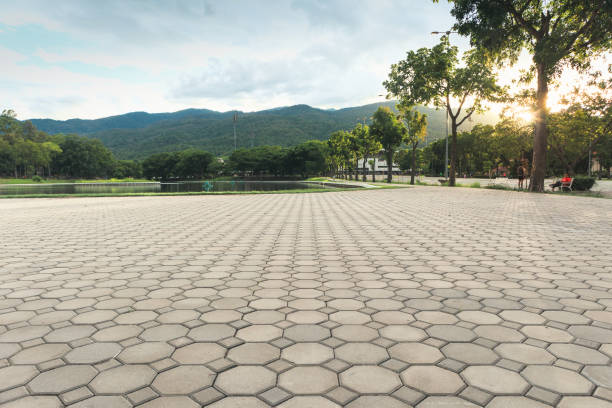 Best Decorative Driveway Pavers  in Moncks Corner, SC
